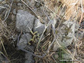 ndolito-24-05-2014 20-45-56